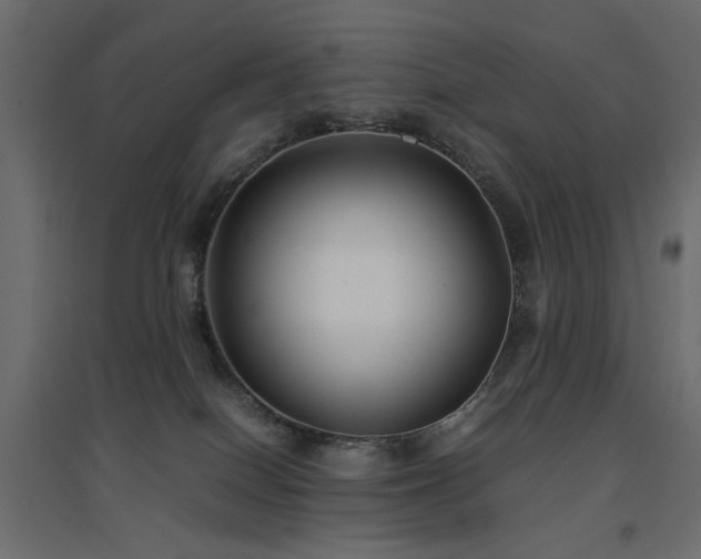 X0000094910086200711291305
