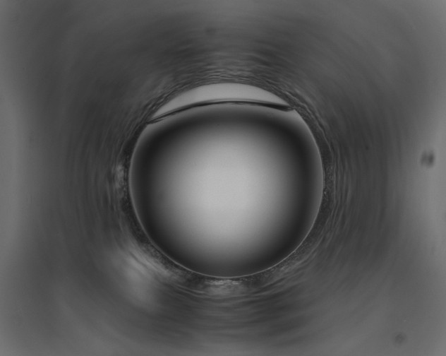 X0000094910087200711291305