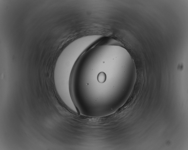 X0000094910088200711291305