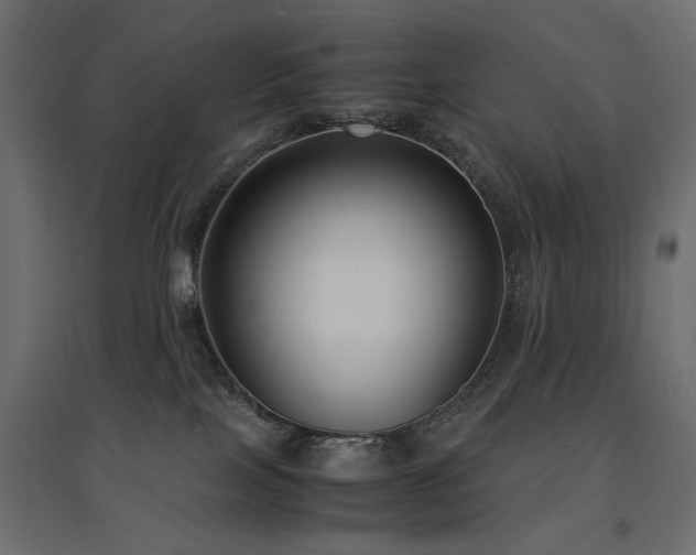 X0000094910089200711291305