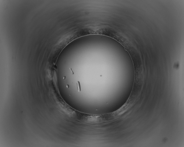 X0000094910090200711291305