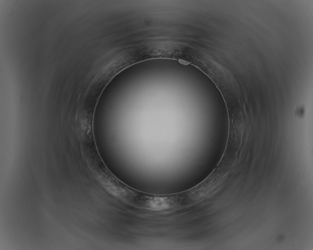 X0000094910091200711291305