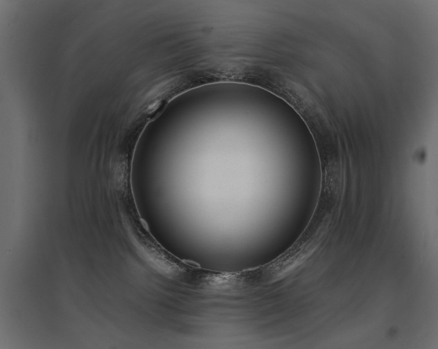 X0000094910092200711291305