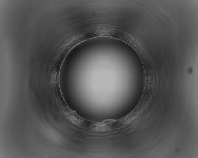 X0000094910093200711291305