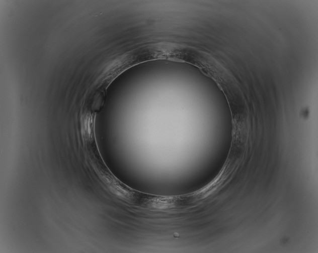 X0000094910094200711291305