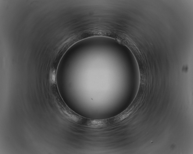 X0000094910095200711291306