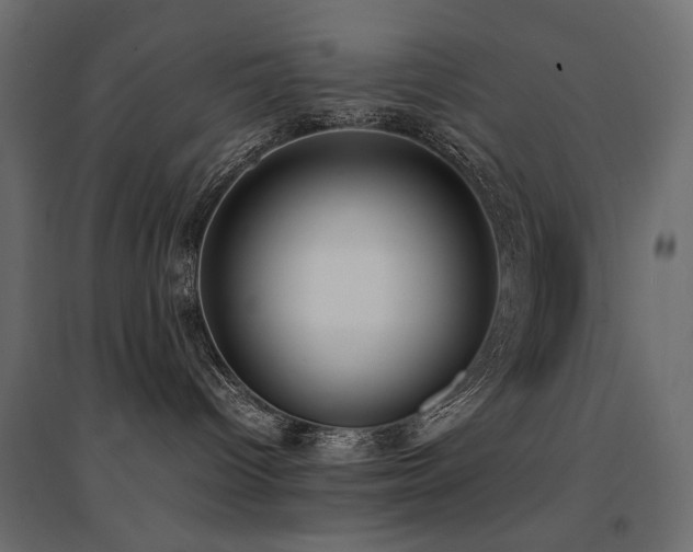 X0000094910096200711291306