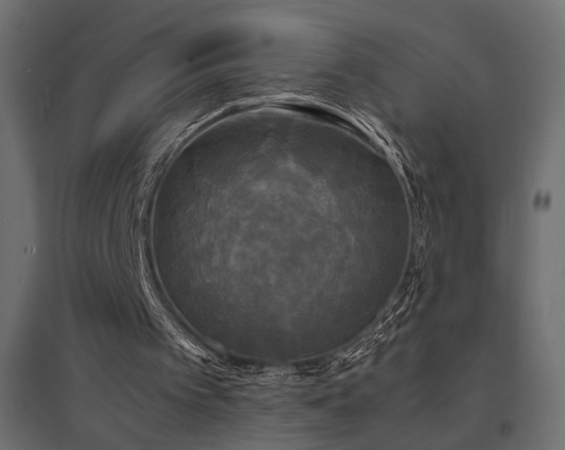 X0000094910097200711291305