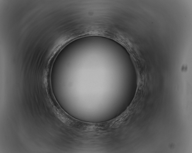 X0000094910098200711291305