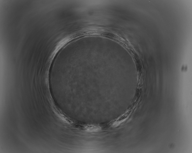 X0000094910099200711291305
