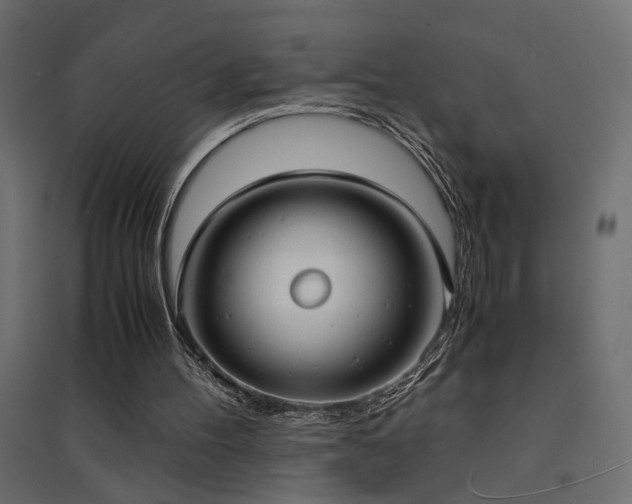 X0000094910100200711291305