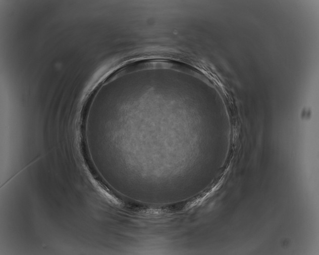 X0000094910101200711291305