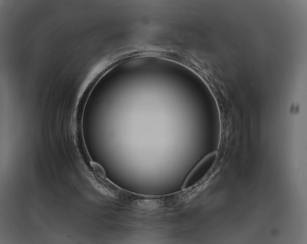 X0000094910102200711291305
