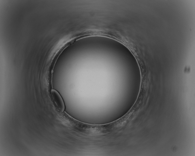 X0000094910103200711291305