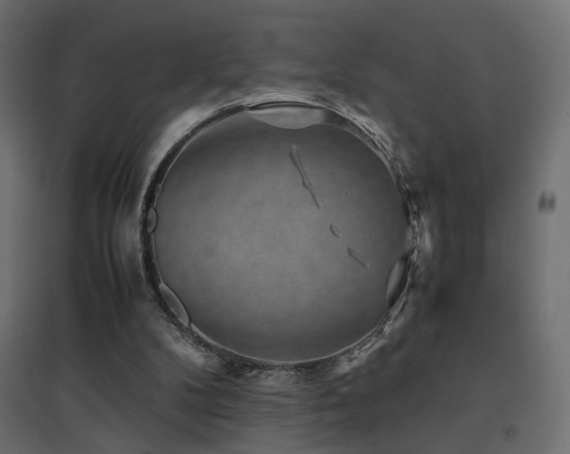 X0000094910104200711291305