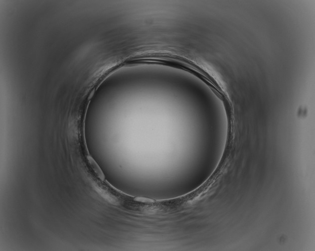 X0000094910105200711291305