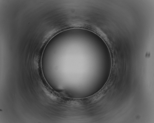 X0000094910106200711291305