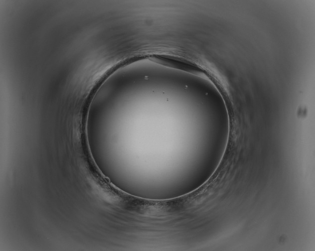 X0000094910107200711291305