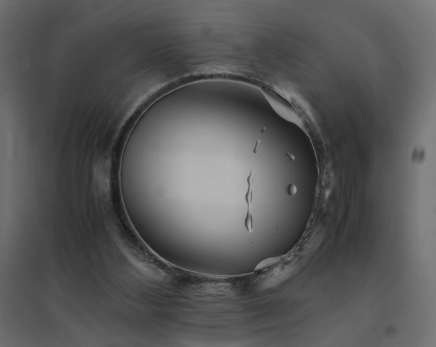 X0000094910108200711291305