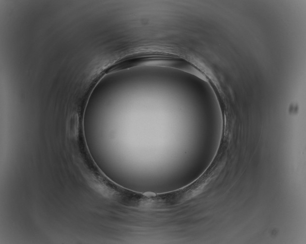 X0000094910109200711291305