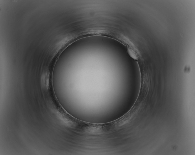X0000094910110200711291305