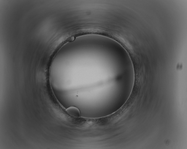 X0000094910111200711291305