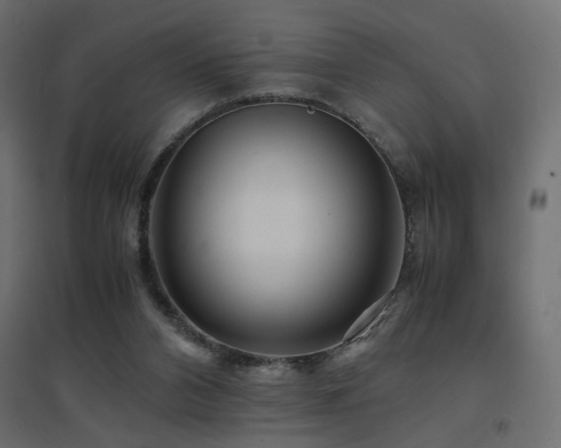 X0000094910112200711291305