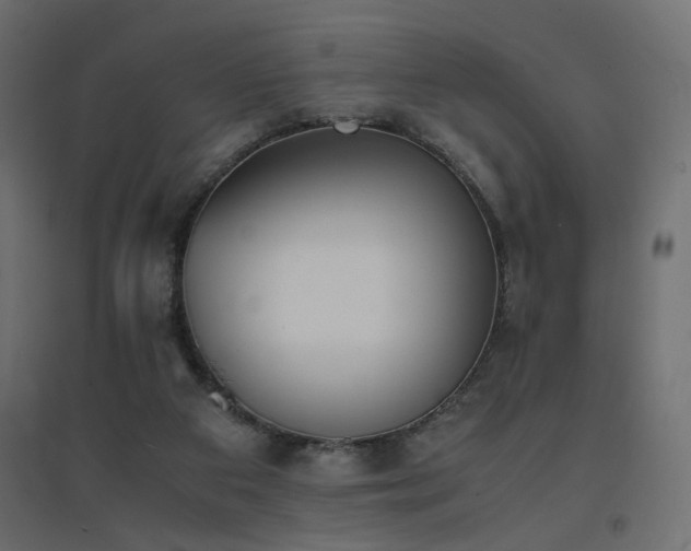 X0000094910113200711291305