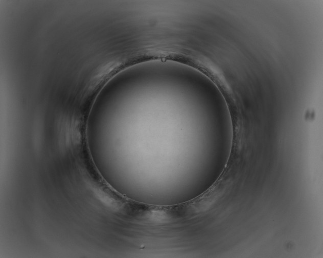 X0000094910114200711291305