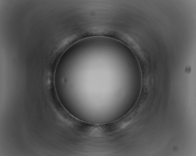 X0000094910115200711291305