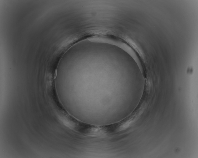 X0000094910117200711291305