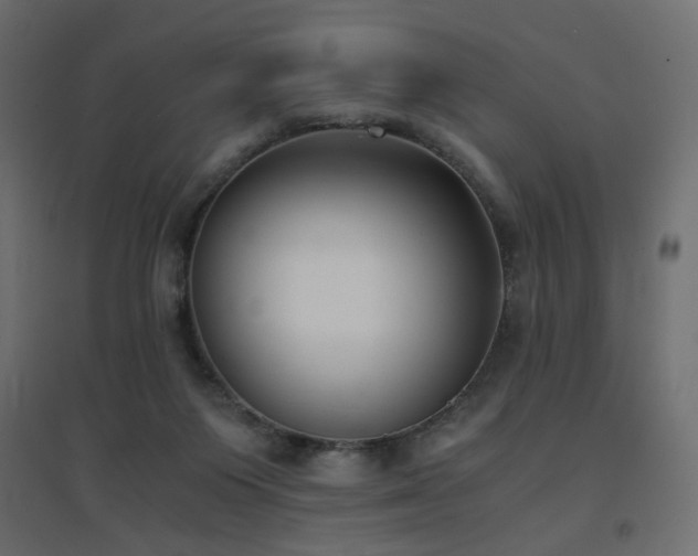 X0000094910119200711291305