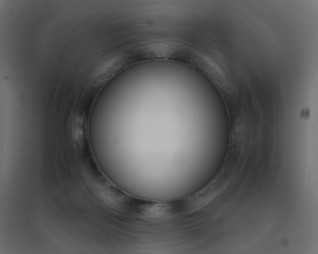X0000094910122200711291305