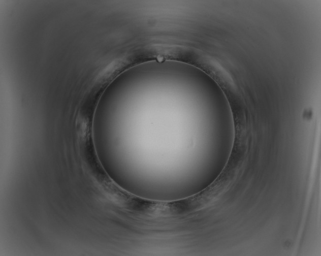 X0000094910123200711291305