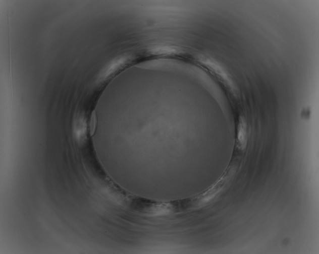X0000094910124200711291304