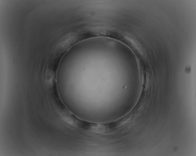 X0000094910125200711291304