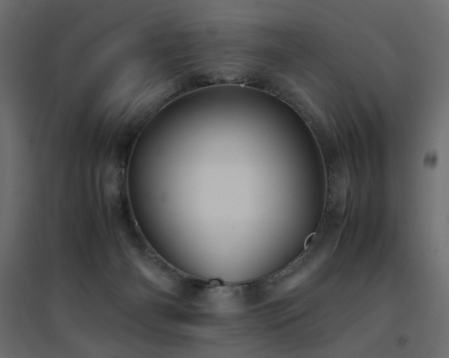X0000094910126200711291304