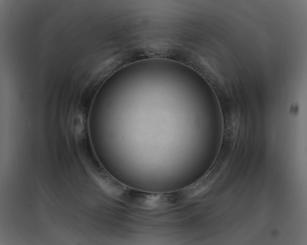 X0000094910130200711291304