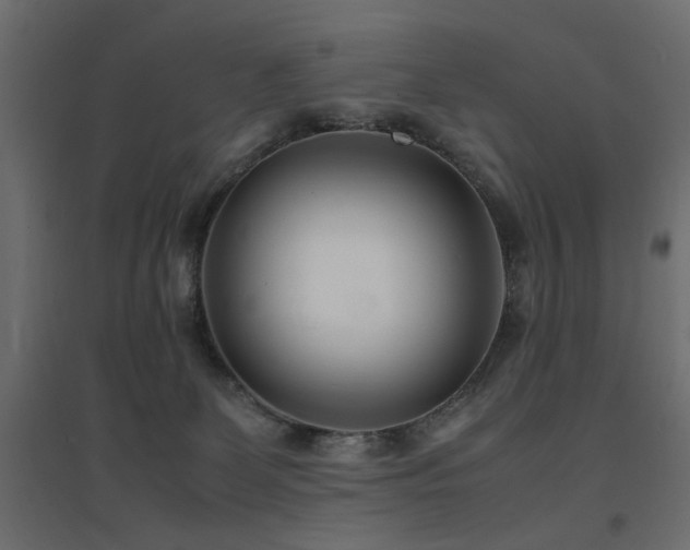X0000094910131200711291304