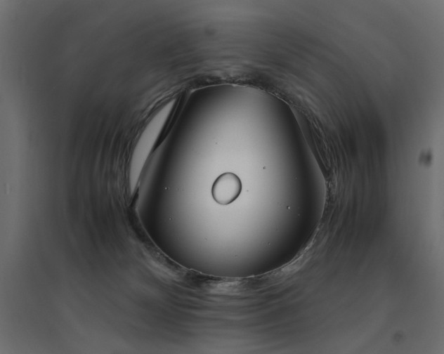 X0000094910132200711291304