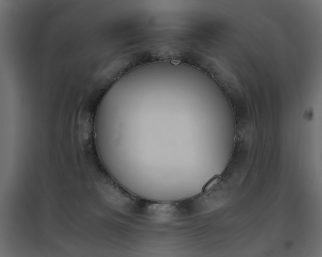 X0000094910133200711291304