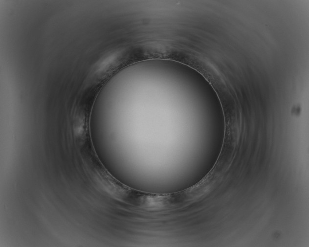 X0000094910134200711291304