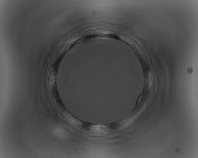 X0000094910137200711291304