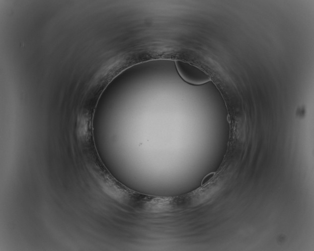 X0000094910138200711291304