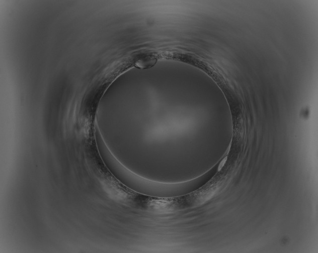 X0000094910139200711291304