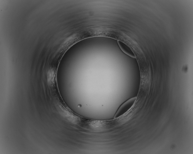 X0000094910142200711291304