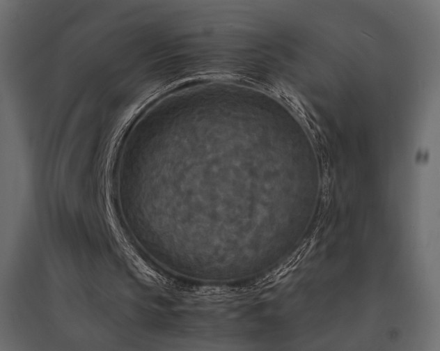 X0000094910145200711291304