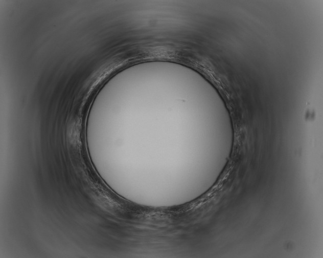 X0000094910146200711291304