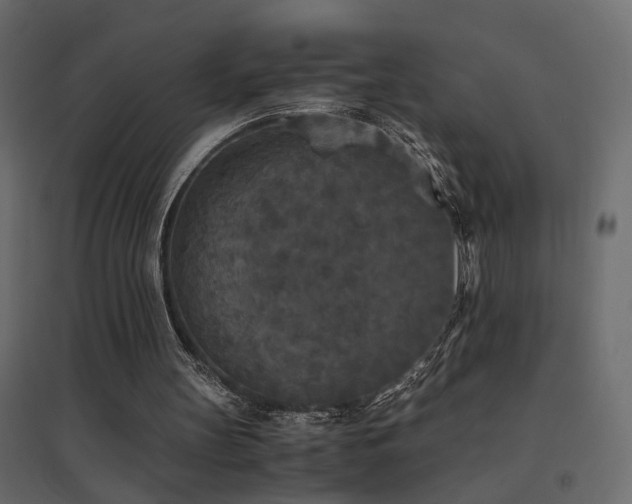 X0000094910147200711291304