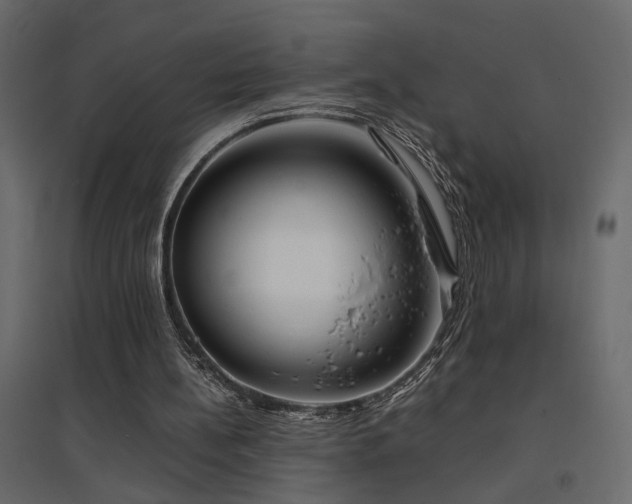 X0000094910148200711291304